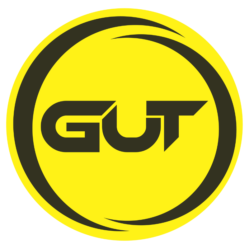 gut solutions gmbh logo als PNG